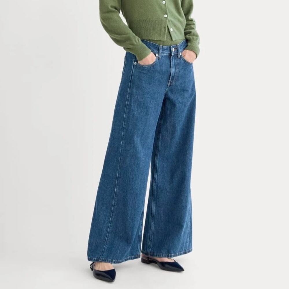 Everlane Paneled Wide Leg Jean Dark Wash Size 32 Regular NWT